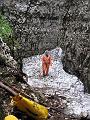 IMG_0526 (2)